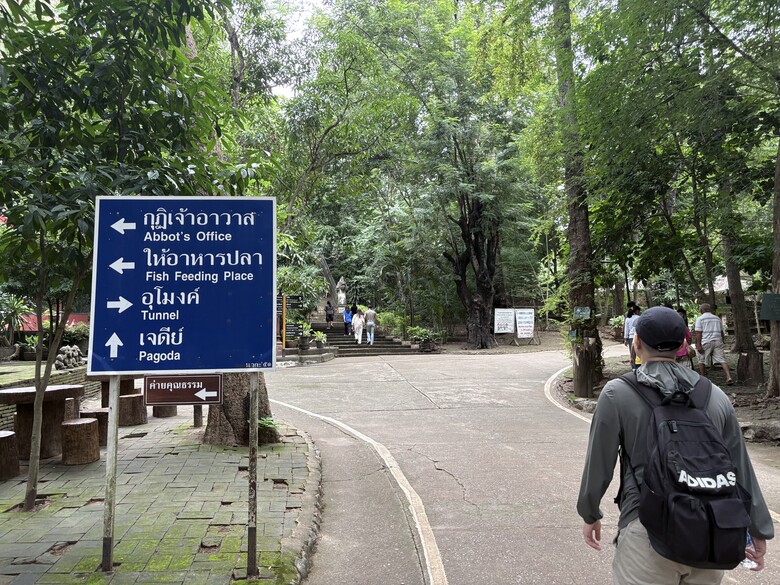 清邁旅居自由行 照片 128