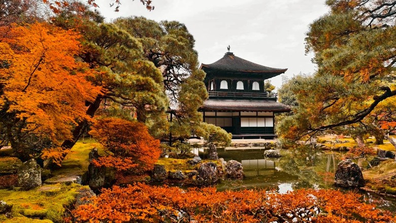 京都紅葉景色