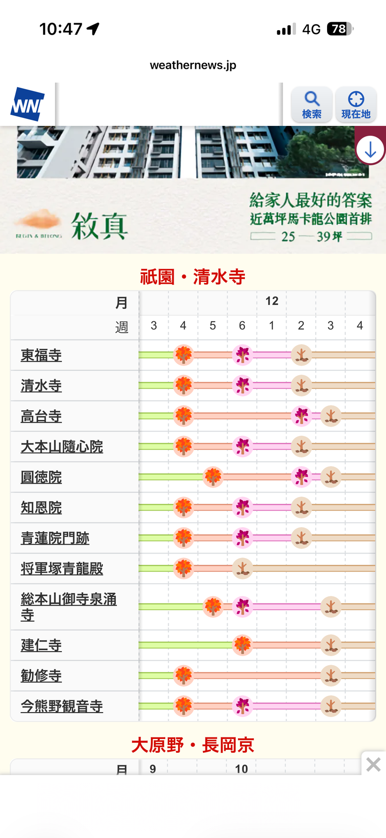12月京都紅葉名所散策 照片 009