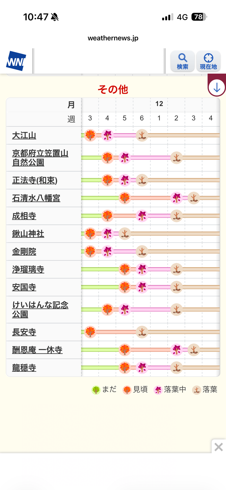 12月京都紅葉名所散策 照片 010