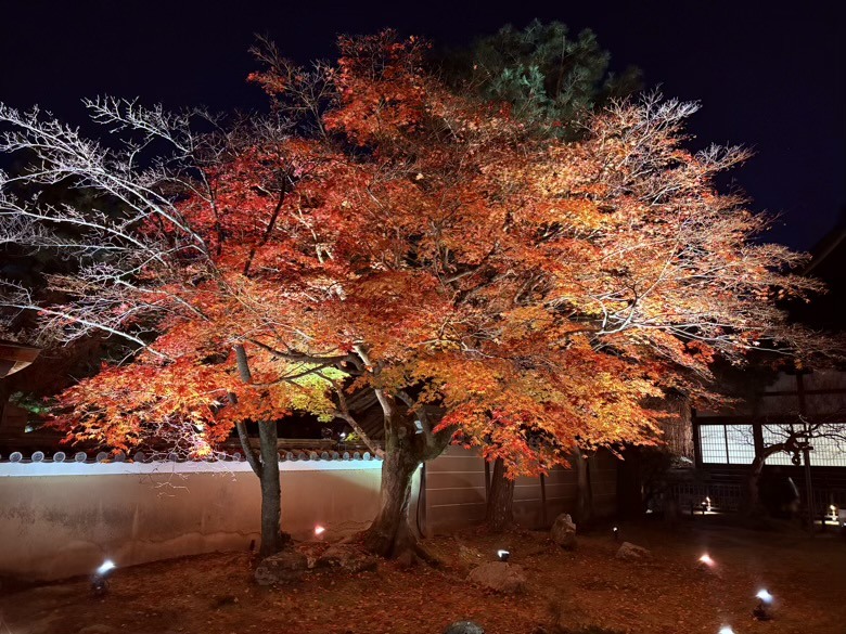 12月京都紅葉名所散策 照片 014
