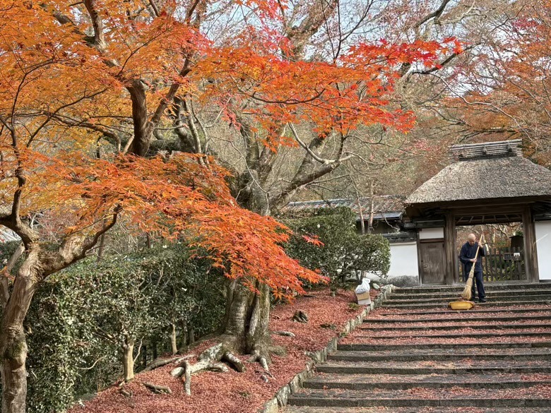12月京都紅葉名所散策 照片 020