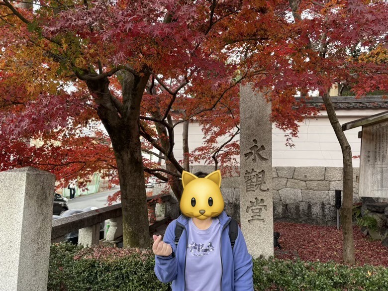 12月京都紅葉名所散策 照片 021