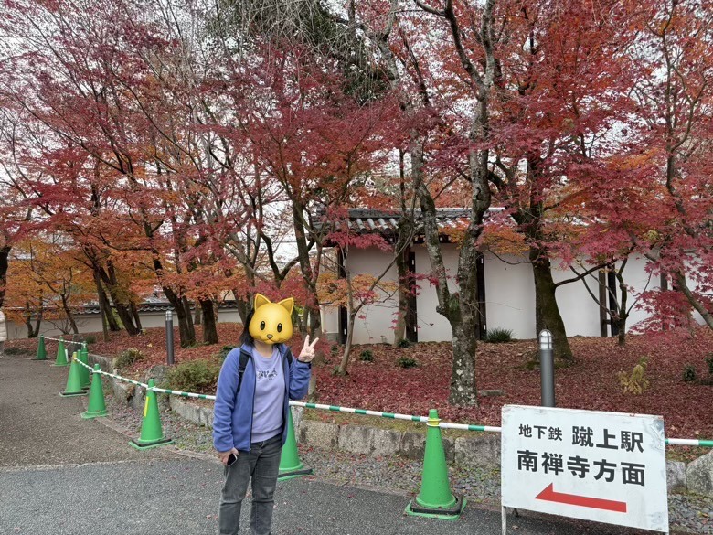 12月京都紅葉名所散策 照片 022