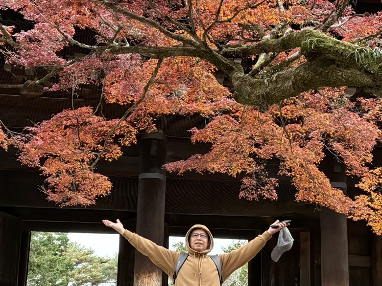 12月京都紅葉名所散策 照片 026