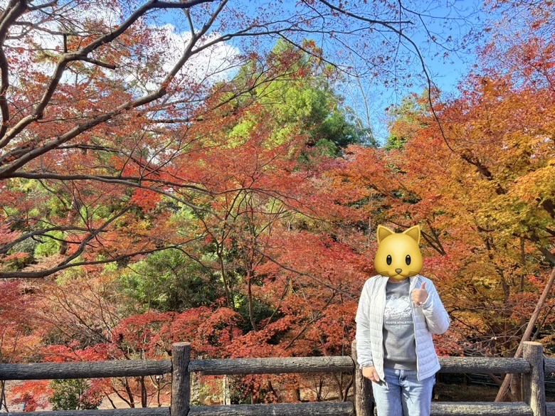 12月京都紅葉名所散策 照片 035