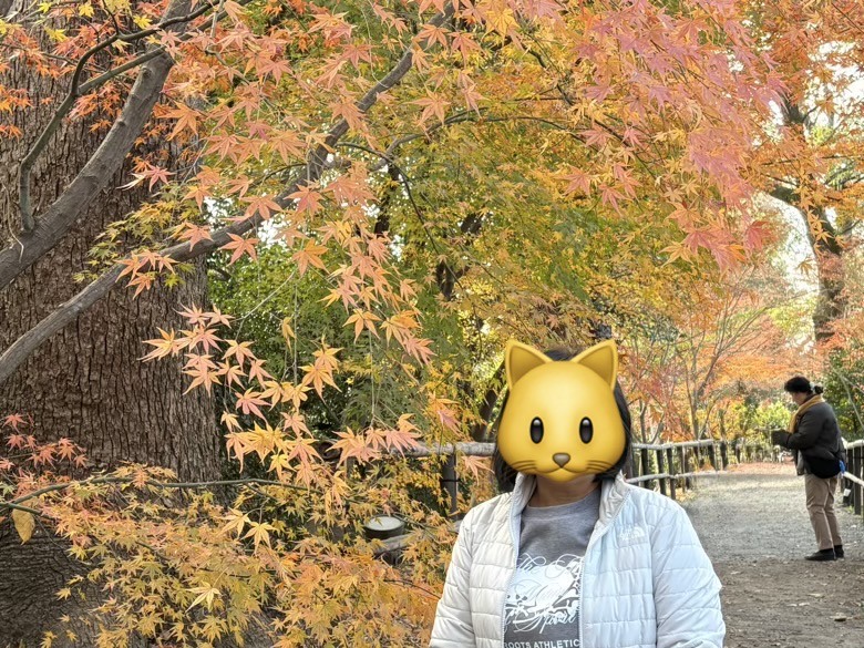 12月京都紅葉名所散策 照片 036