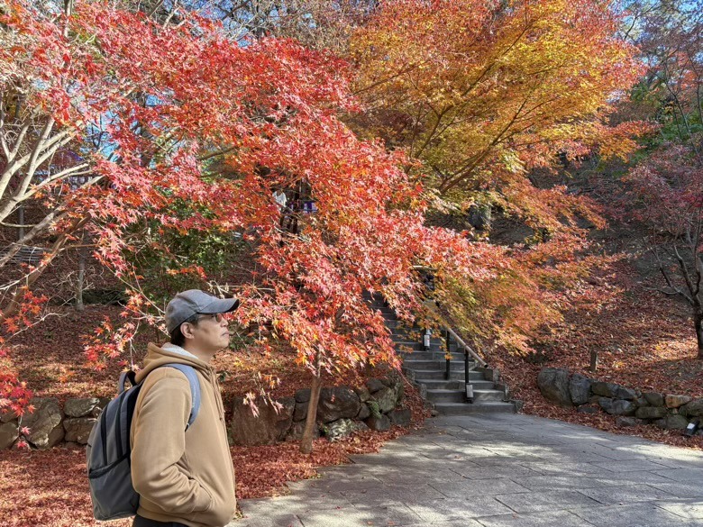 12月京都紅葉名所散策 照片 037