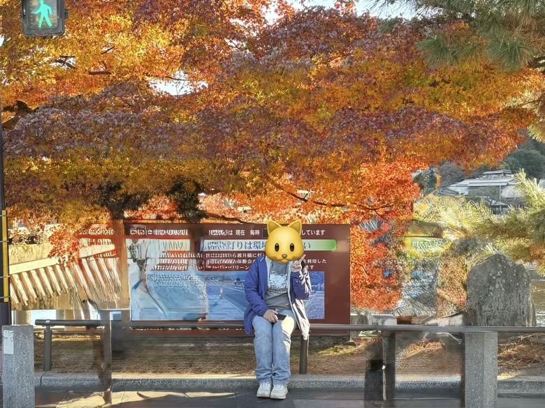 12月京都紅葉名所散策 照片 047
