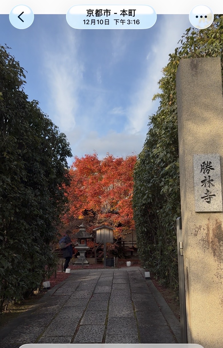 12月京都紅葉名所散策 照片 075