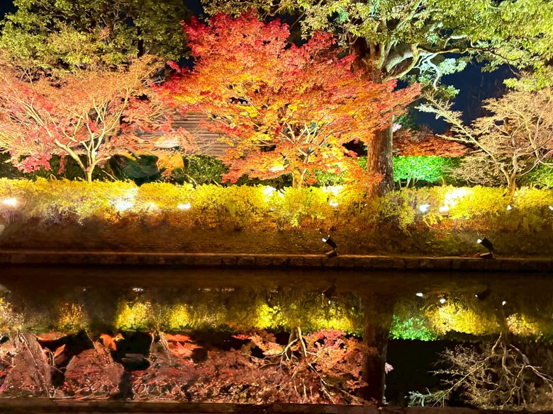 12月京都紅葉名所散策 照片 082