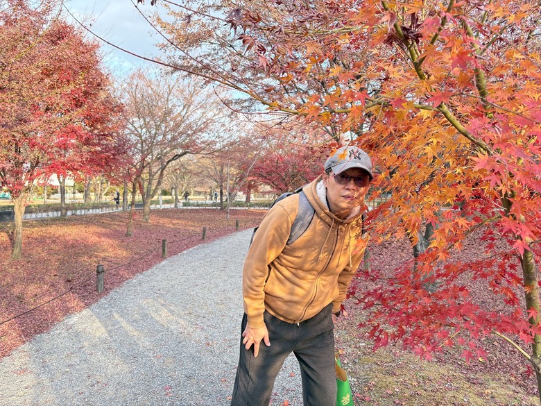 12月京都紅葉名所散策 照片 102