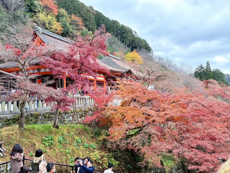 12月京都紅葉名所散策 照片 123