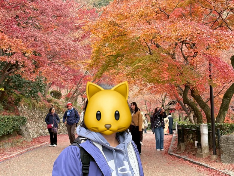 12月京都紅葉名所散策 照片 124
