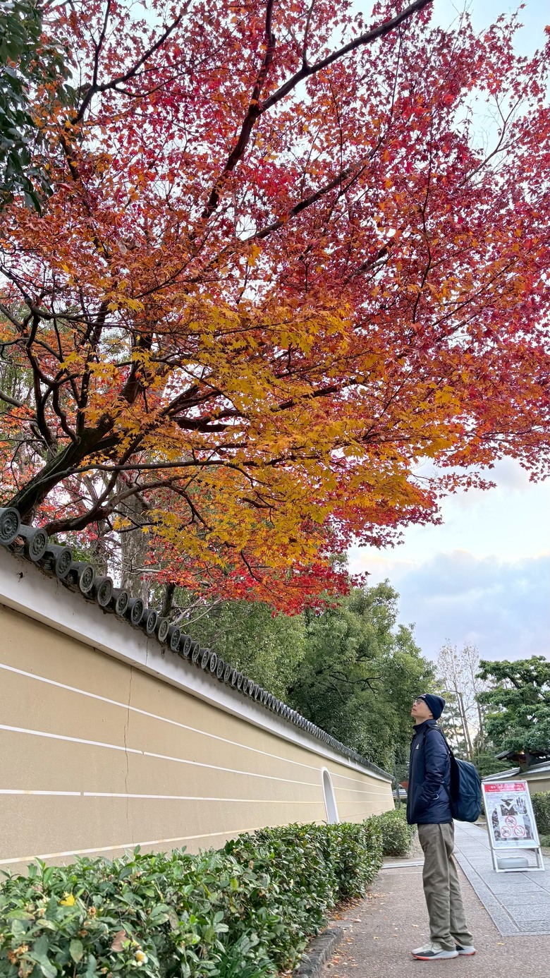 12月京都紅葉名所散策 照片 131