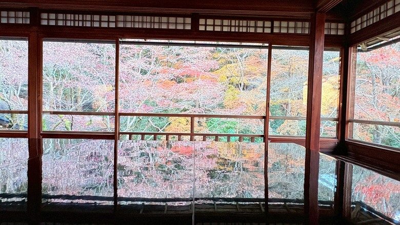 12月京都紅葉名所散策 照片 138