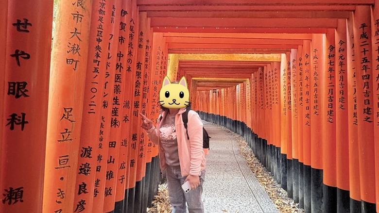 12月京都紅葉名所散策 照片 165