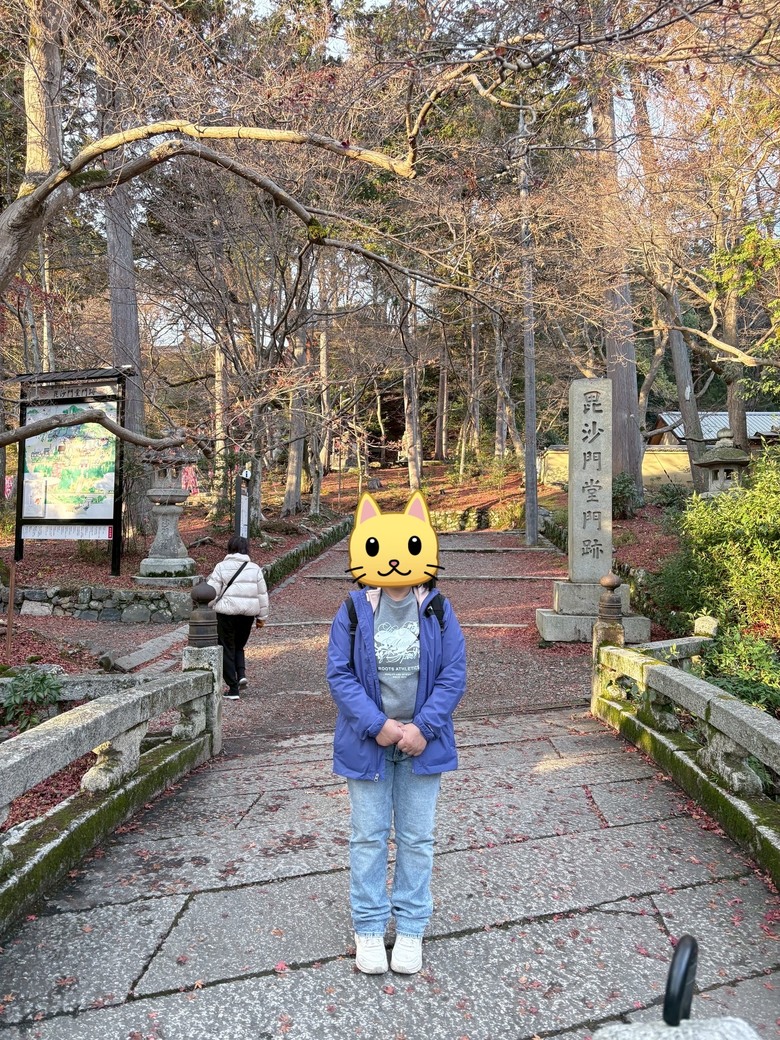 12月京都紅葉名所散策 照片 173