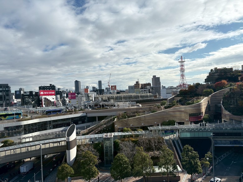 12月京都紅葉名所散策 照片 182