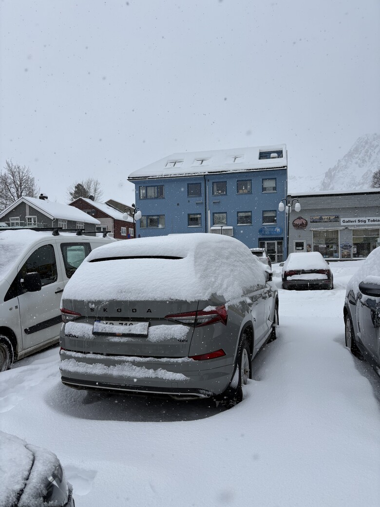 挪威羅浮敦極光與雪景自駕 照片 019