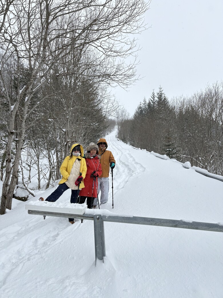 挪威羅浮敦極光與雪景自駕 照片 020