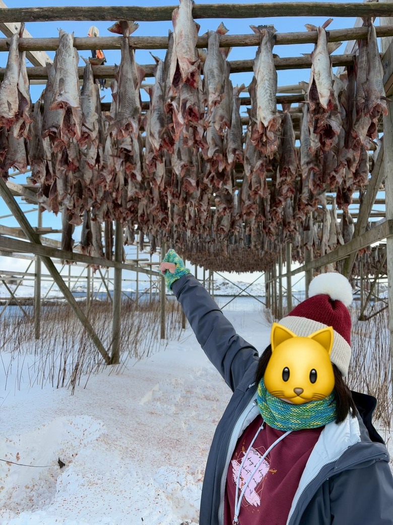 挪威羅浮敦極光與雪景自駕 照片 032