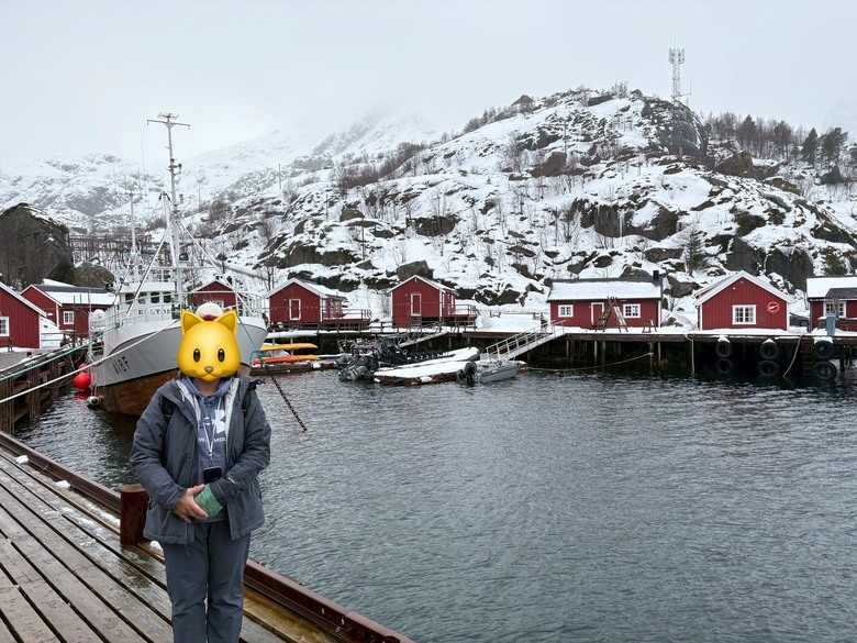 挪威羅浮敦極光與雪景自駕 照片 052