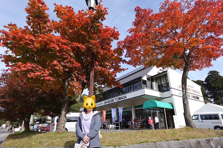 日本東北賞楓與強颱康芮返程紀錄