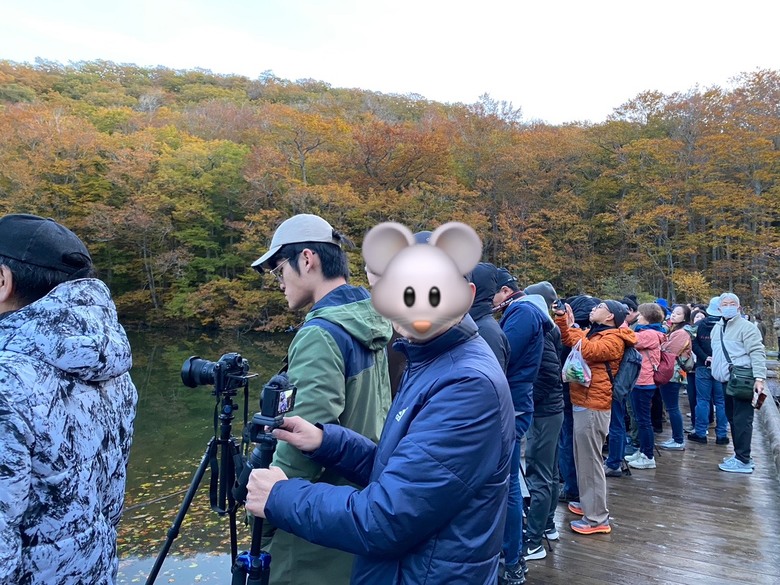 日本東北賞楓與強颱返程 照片 020