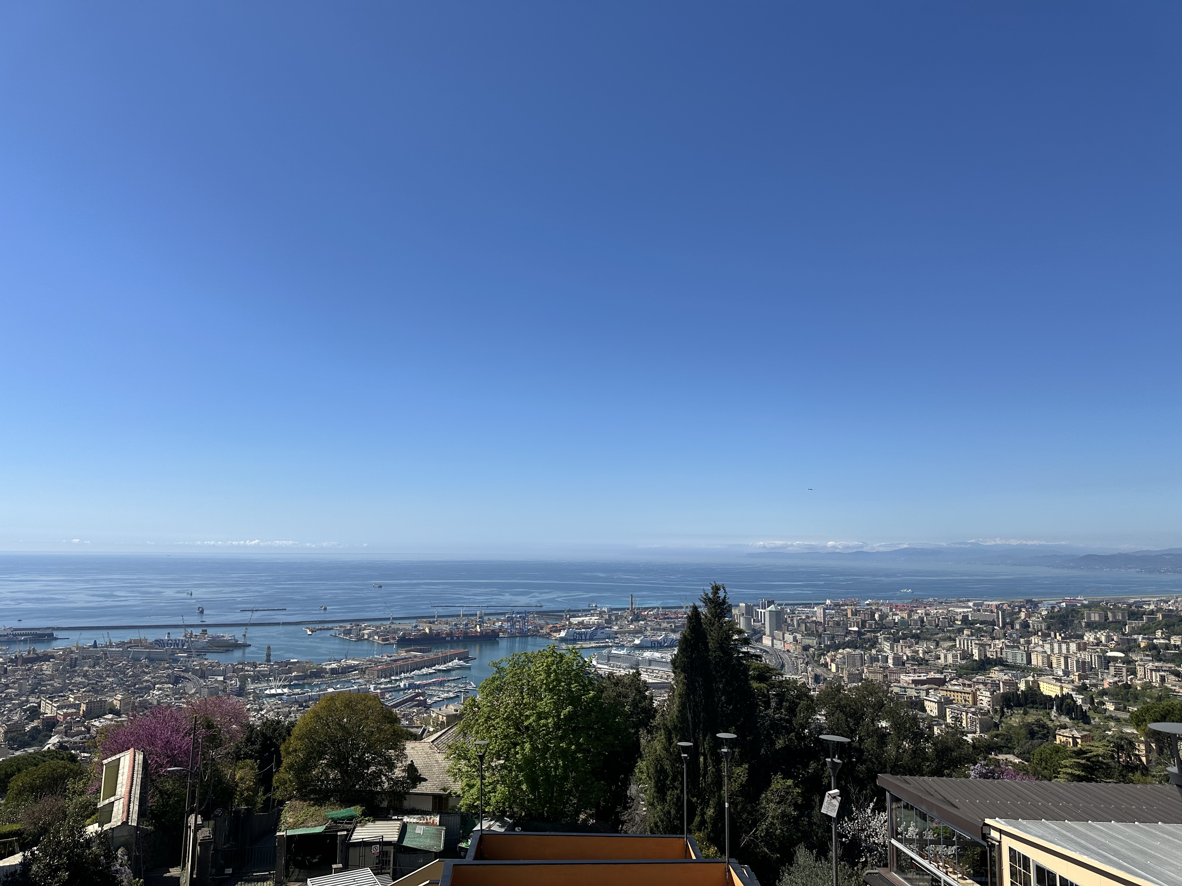 Genova-1